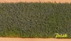 Polák 5972 KA LETNIA KWIATY NIEBIESKIE