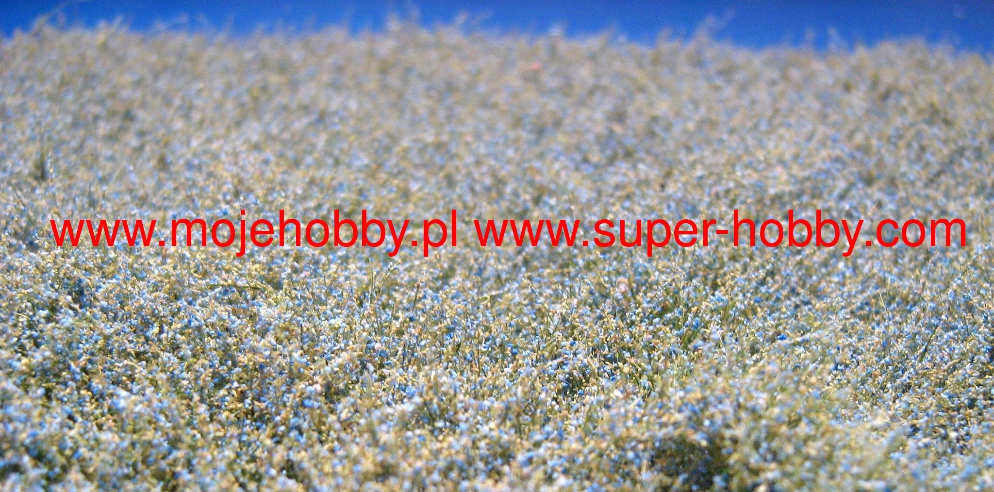 Polák 5972 KA LETNIA KWIATY NIEBIESKIE 5 Polák 5972 KA LETNIA KWIATY NIEBIESKIE - Image 5