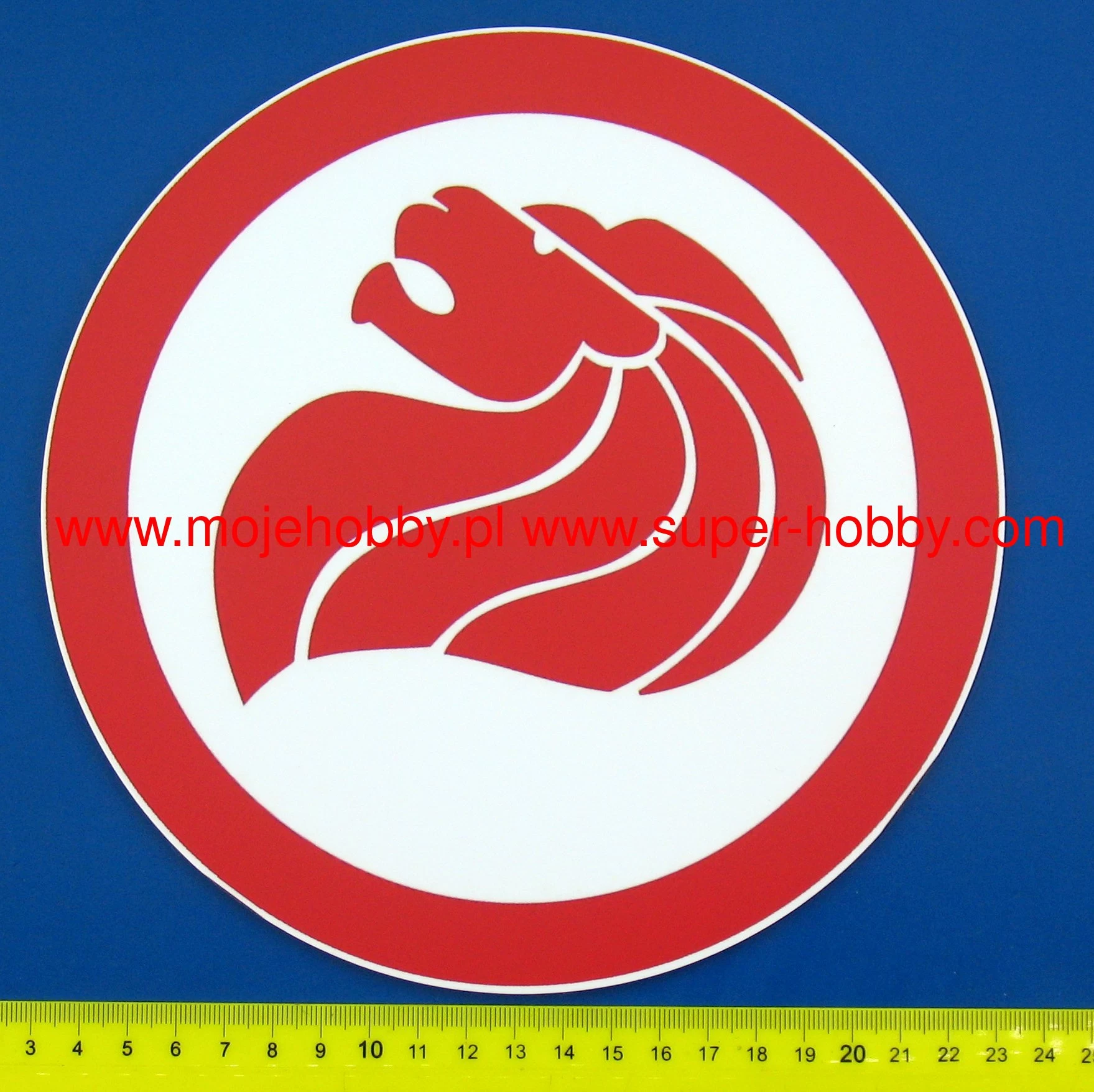 Coastal Kits C20012 Circular Display Base Singapore Air Force 200mm 2 Coastal Kits C20012 Circular Display Base Singapore Air Force 200mm - Image 2