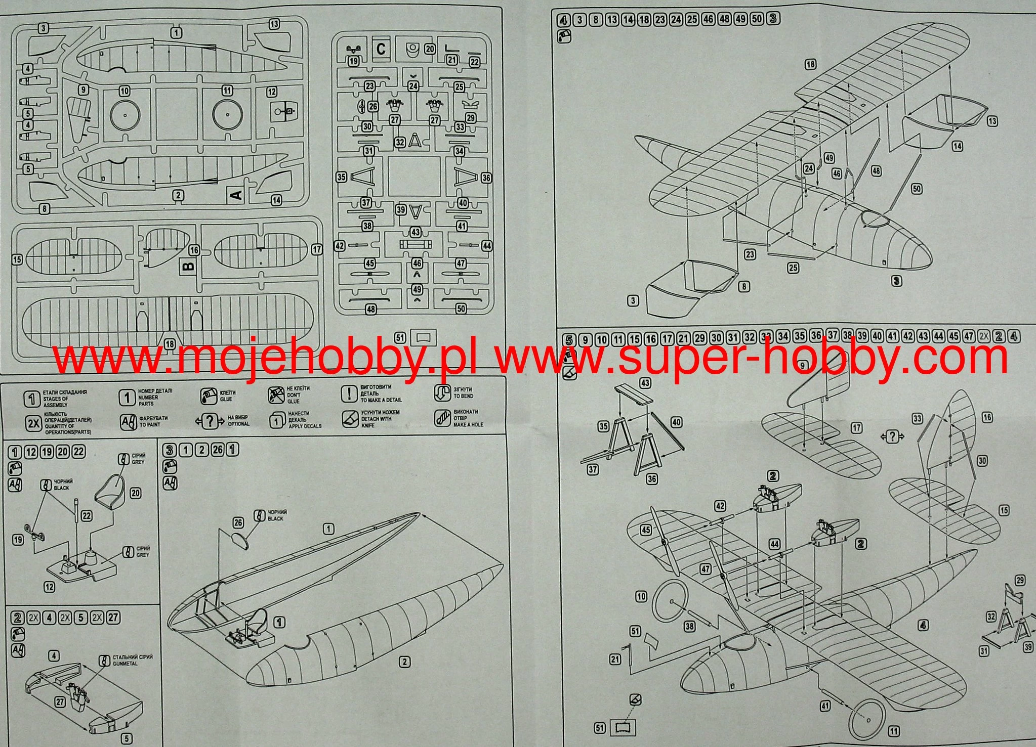 Avis 72031 Short S.1 Cockle Limited Edition 4 Avis 72031 Short S.1 Cockle Limited Edition - Image 4