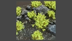 GamersGrass GGS-GR Green Shrub Wild -RemoteFun Toys Shop 34376 green shrub tufts