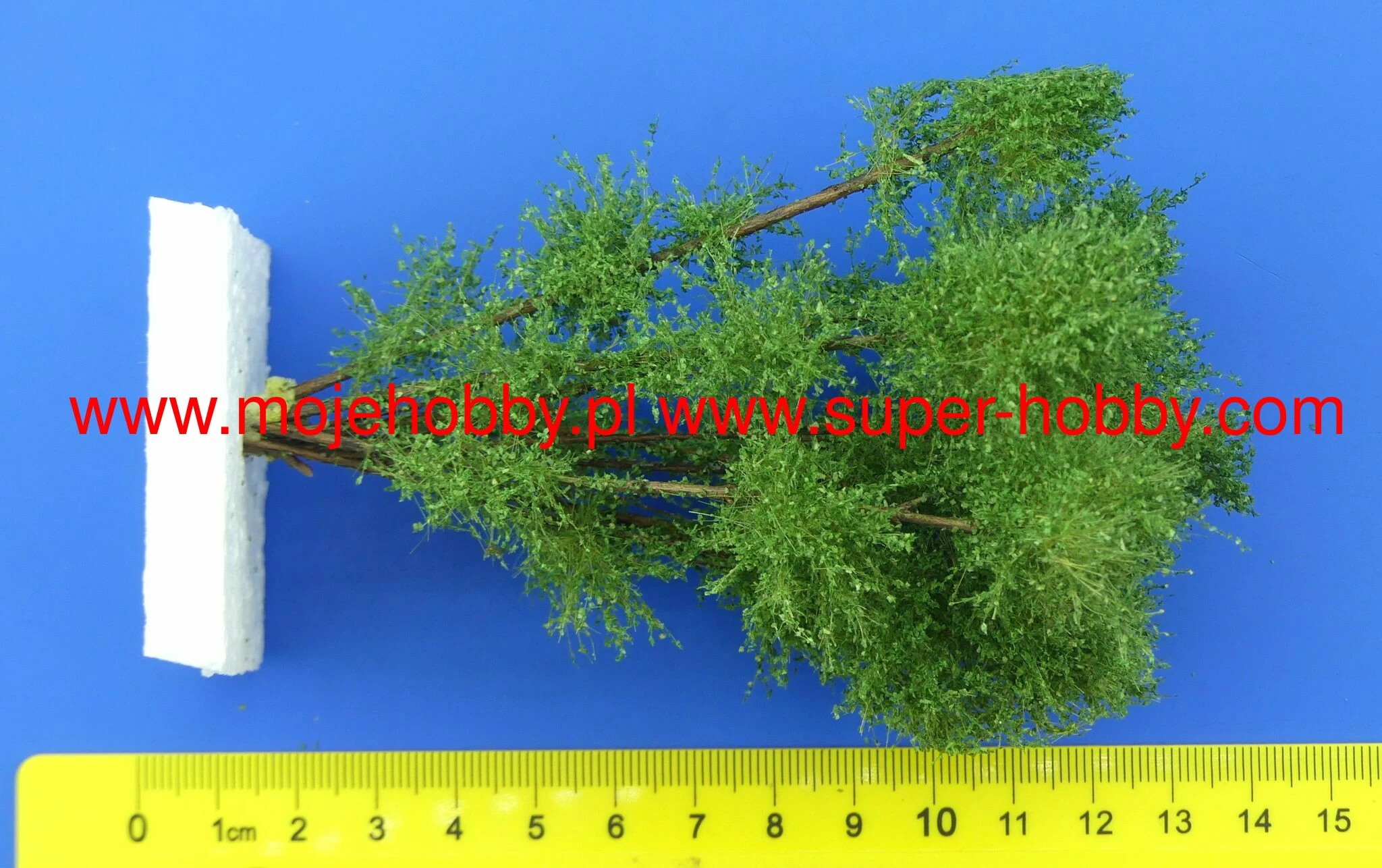 Polák 9522 Drzewo Wielopniowe - Brzoza Zielona 2 Polák 9522 Drzewo Wielopniowe - Brzoza Zielona - Image 2