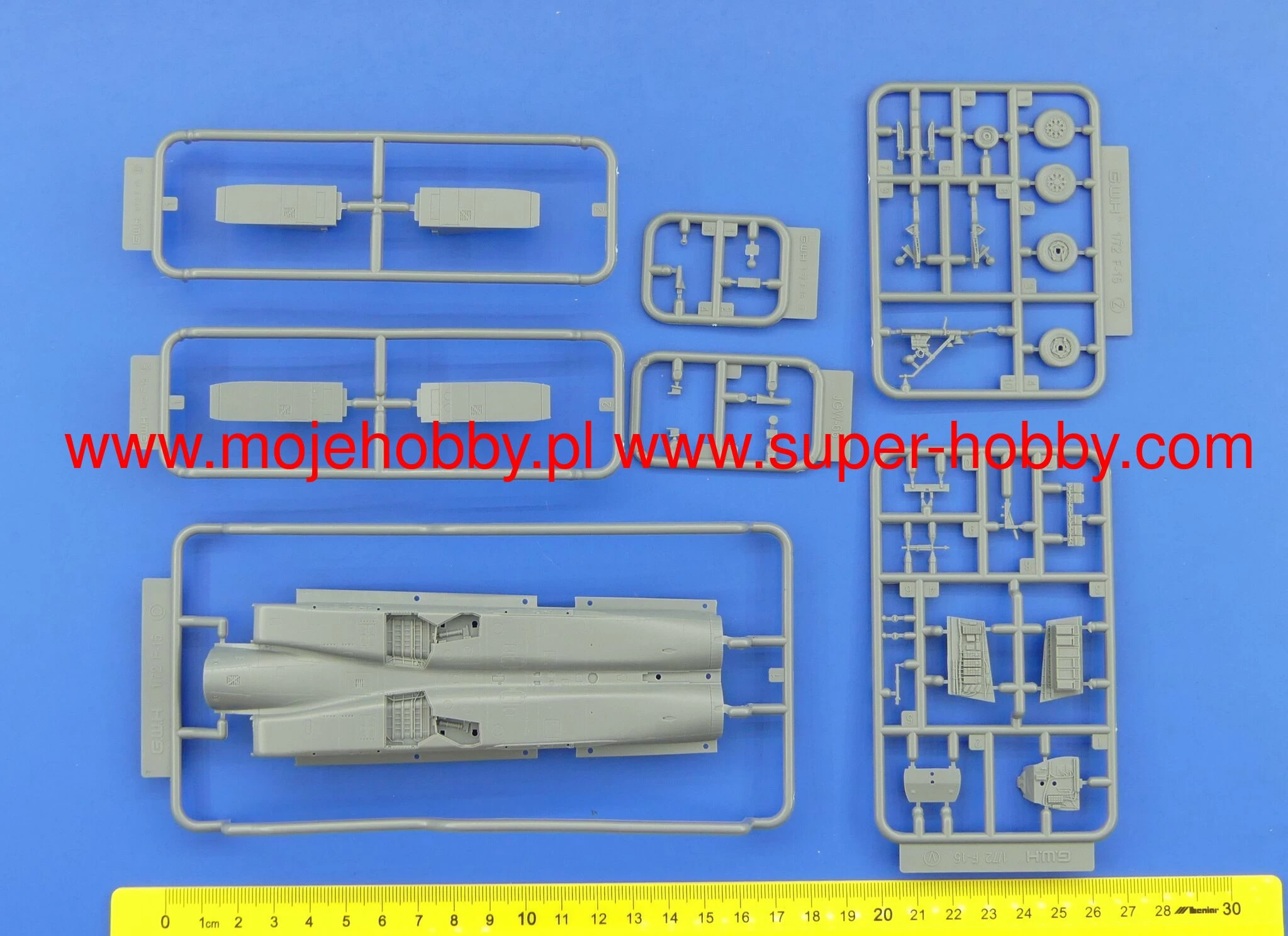 Lion Roar S7205 F-15 45 Years In Europe 6 Lion Roar S7205 F-15 45 Years In Europe - Image 6