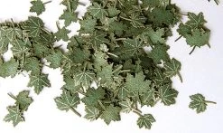 Plus Model 253 Green Leaves - Maple